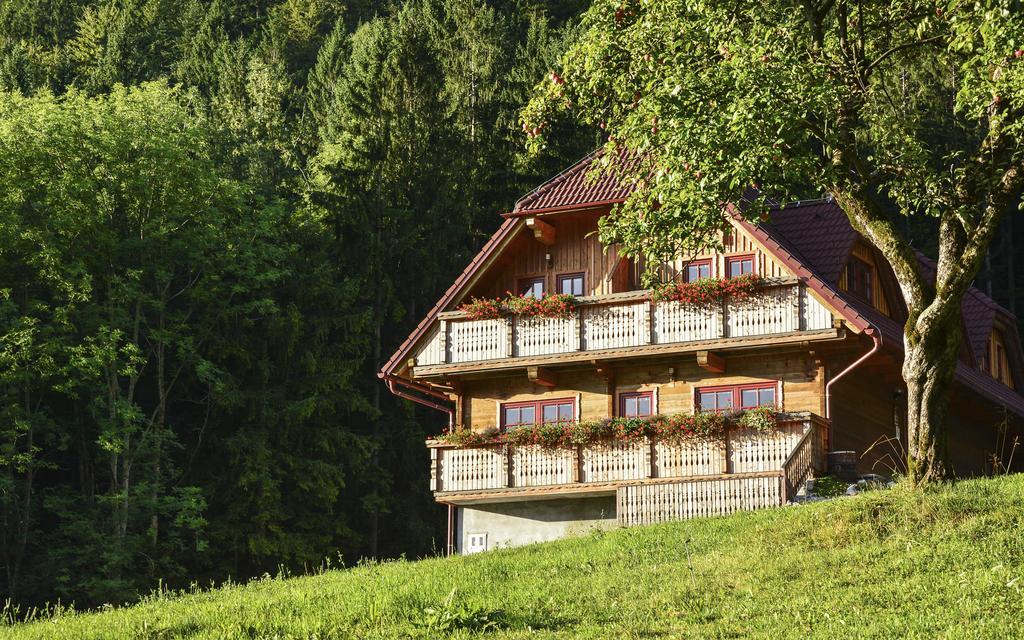 Apartments Petek Gornji Grad Rom bilde